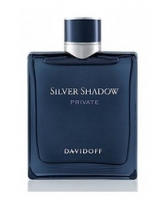 Davidoff Silver Shadow Private edt 50 ml spray