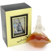 SALVADOR DALI EDP 100 ml spray 